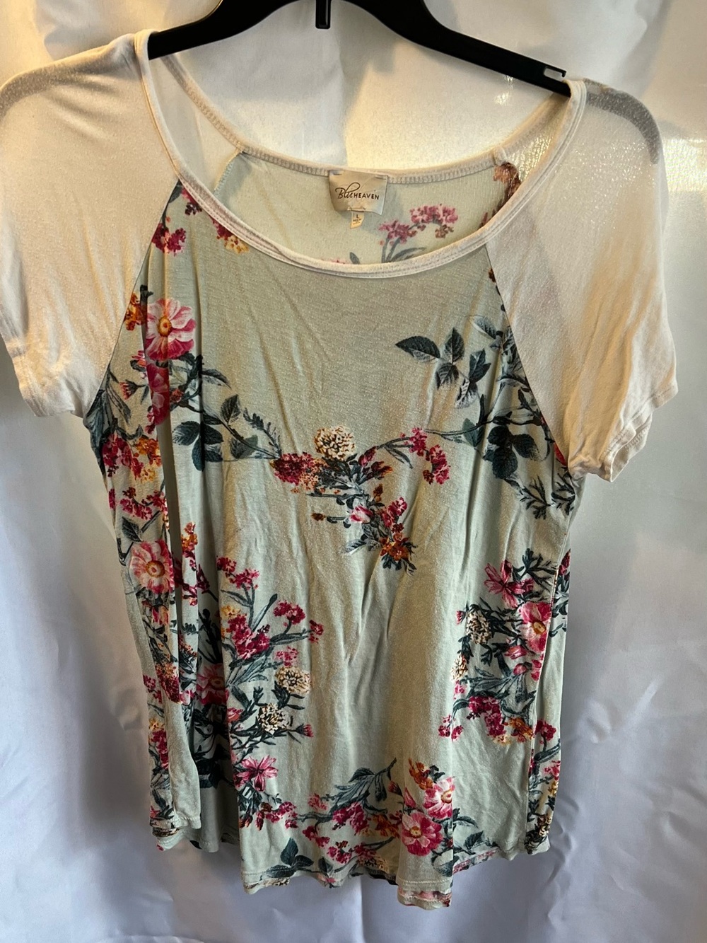 Blueheaven Sage Floral Raglan Tee with Cream Sleeves